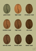 plakat: coffee roast levels - back to nature-Kaffe-A1two3