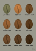 plakat: coffee roast levels - battleship gray-Kaffe-A1two3
