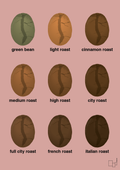 plakat: coffee roast levels - bubble shell-Kaffe-A1two3