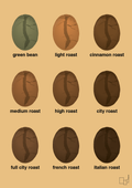 plakat: coffee roast levels - charismatic-Kaffe-A1two3