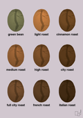 plakat: coffee roast levels - dusty lilac-Kaffe-A1two3