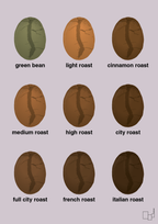 plakat: coffee roast levels - dusty lilac-Kaffe-A1two3