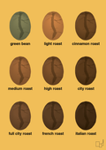 plakat: coffee roast levels - honeycomb-Kaffe-A1two3