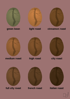 plakat: coffee roast levels - plum-Kaffe-A1two3