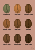 plakat: coffee roast levels - powder-Kaffe-A1two3