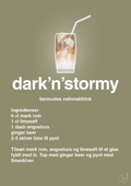 plakat: dark'n'stormy - misty forrest-Cocktails-A1two3