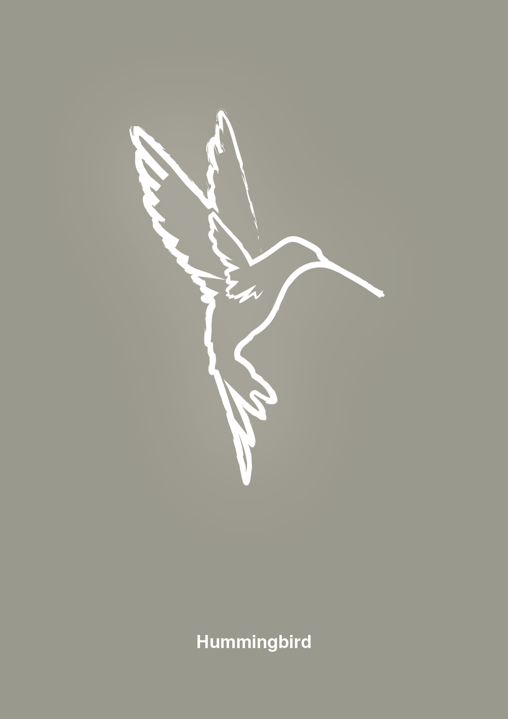 plakat: kolibri - battleship gray-Tegning-A1two3