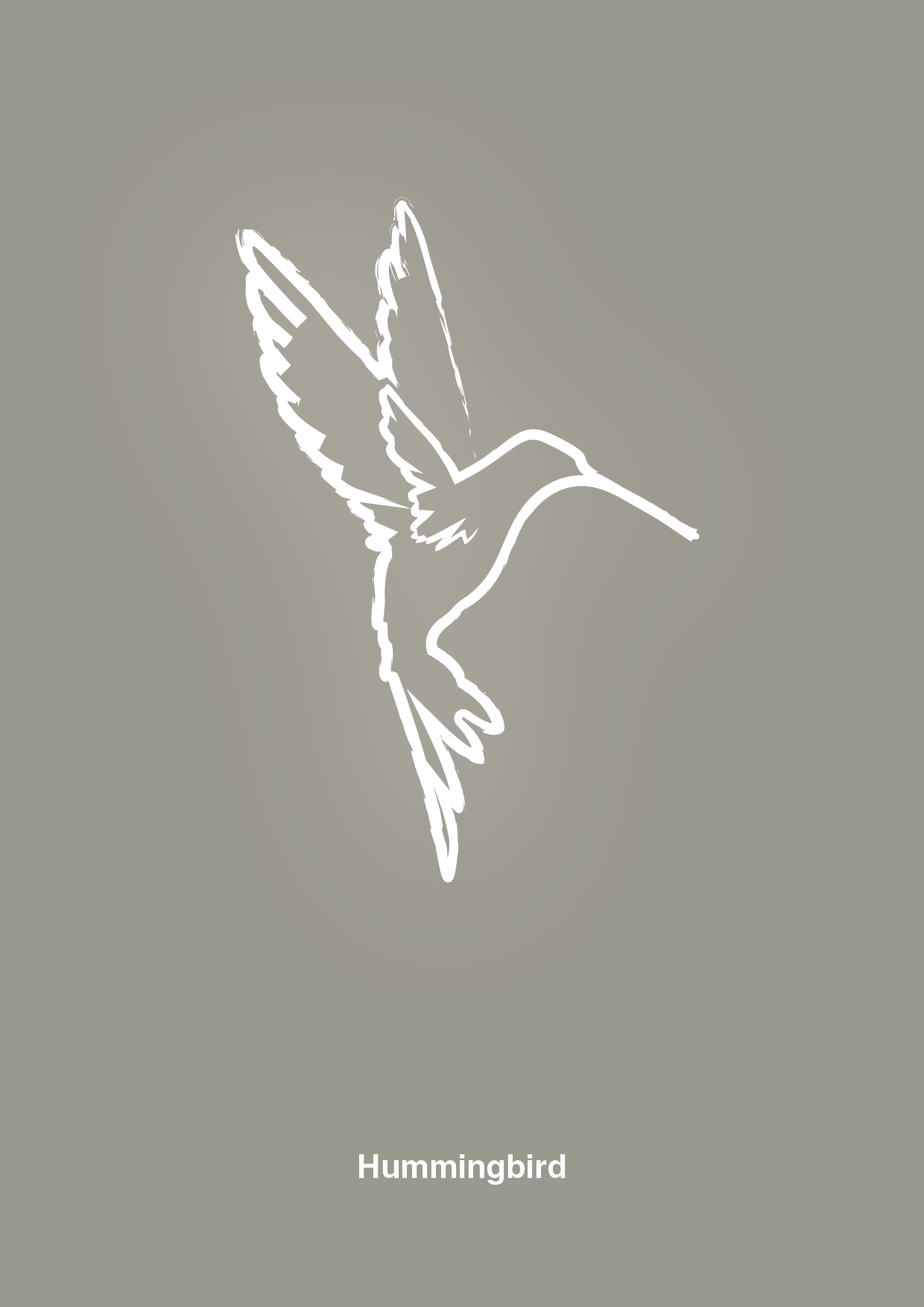 plakat: kolibri - battleship gray-Tegning-A1two3
