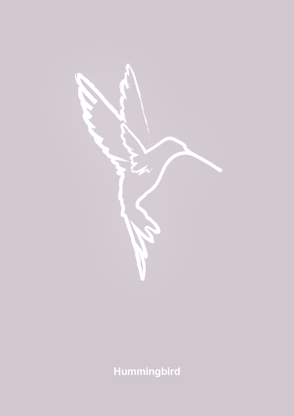 plakat: kolibri - dusty lilac-Tegning-A1two3