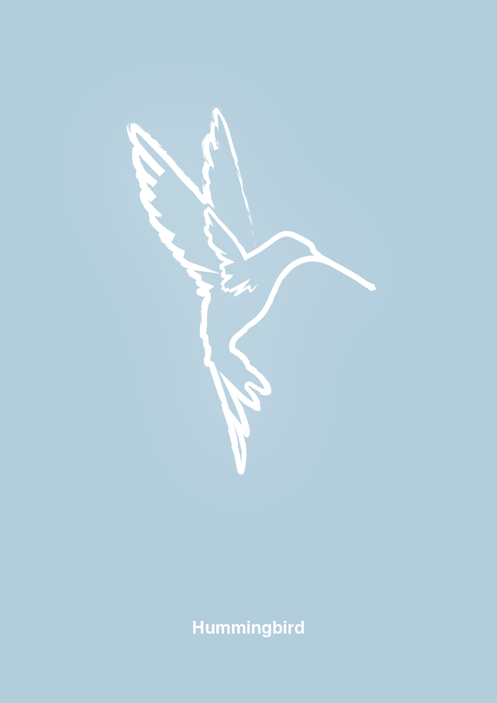 plakat: kolibri - heavenly blue-Tegning-A1two3