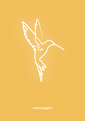 plakat: kolibri - honeycomb-Tegning-A1two3