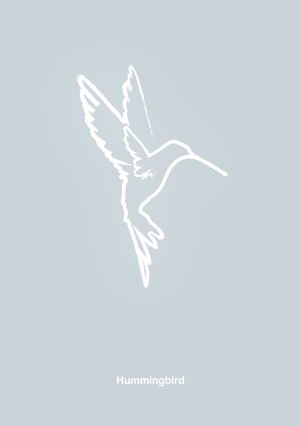 plakat: kolibri - light drizzle-Tegning-A1two3