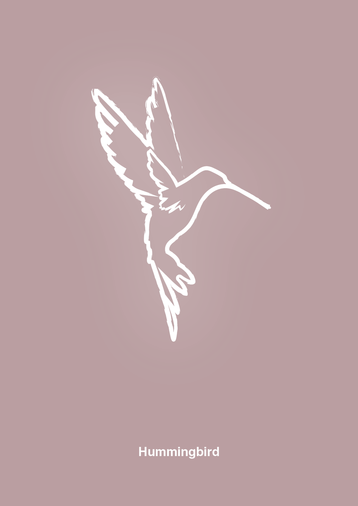 plakat: kolibri - light rose-Tegning-A1two3