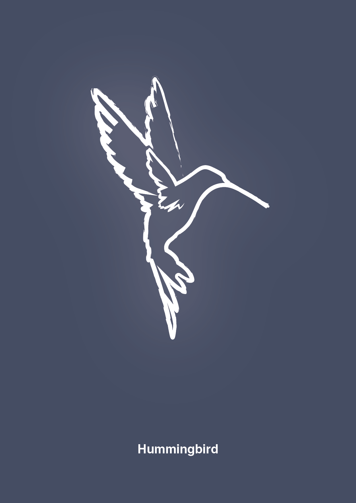Kolibri - petrol-Tegning-A1two3