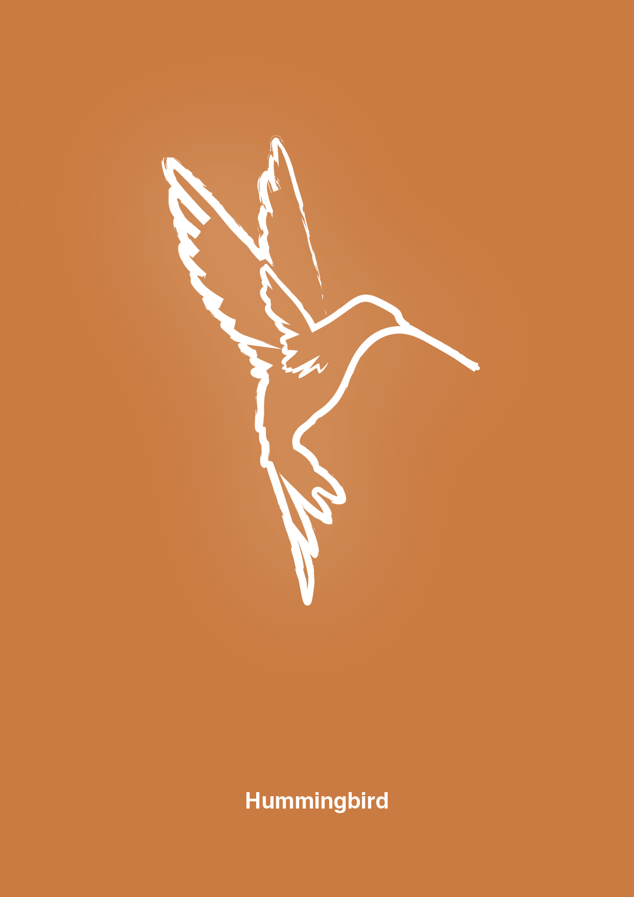 plakat: kolibri - rumba orange-Tegning-A1two3