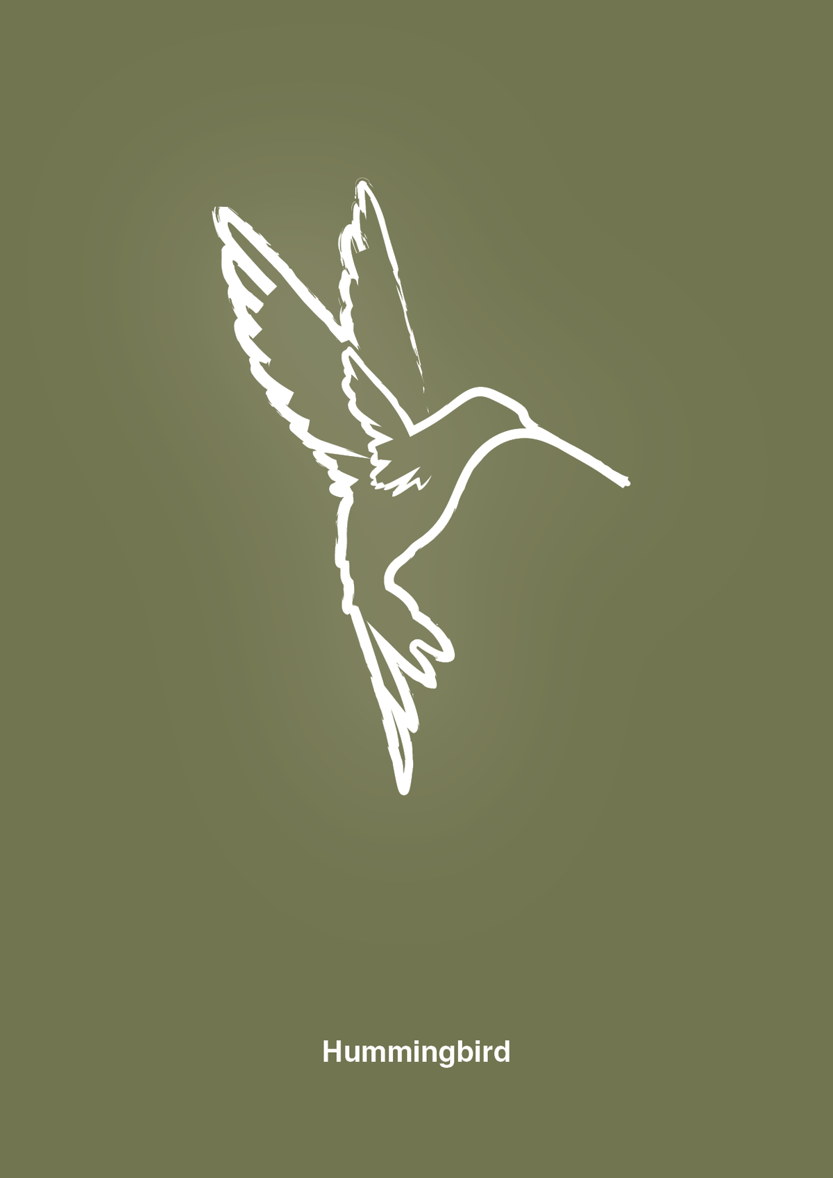 plakat: kolibri - secret meadow-Tegning-A1two3