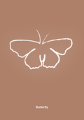 plakat: sommerfugl - cider spice-Tegning-A1two3