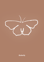 plakat: sommerfugl - cider spice-Tegning-A1two3