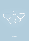 plakat: sommerfugl - heavenly blue-Tegning-A1two3
