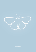 plakat: sommerfugl - heavenly blue-Tegning-A1two3