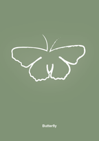 plakat: sommerfugl - jade-Tegning-A1two3