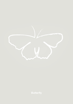 plakat: sommerfugl - painters white-Tegning-A1two3