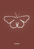 plakat: sommerfugl - red pepper-Tegning-A1two3