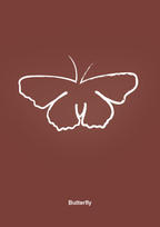plakat: sommerfugl - red pepper-Tegning-A1two3