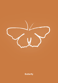 plakat: sommerfugl - rumba orange-Tegning-A1two3