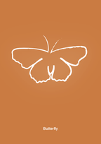 plakat: sommerfugl - rumba orange-Tegning-A1two3
