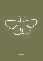 plakat: sommerfugl - secret meadow-Tegning-A1two3