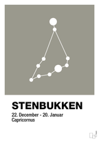plakat: stjernebillede stenbukken - battleship gray-Stjernetegn-A1two3