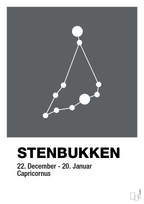 plakat: stjernebillede stenbukken - graphic charcoal-Stjernetegn-A1two3