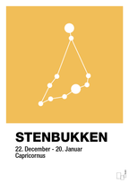 plakat: stjernebillede stenbukken - honeycomb-Stjernetegn-A1two3