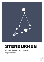 Stjernebillede stenbukken - petrol-Stjernetegn-A1two3