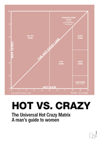 plakat: hot crazy matrix