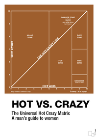 plakat: hot crazy matrix