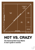 plakat: hot crazy matrix - dark brown-Charts-A1two3