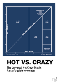 plakat: hot crazy matrix