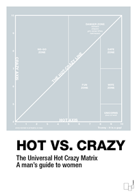 plakat: hot crazy matrix