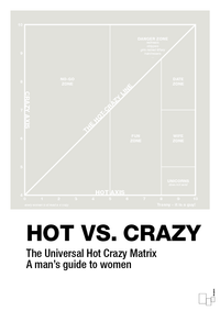 plakat: hot crazy matrix