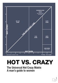 plakat: hot crazy matrix