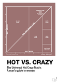 plakat: hot crazy matrix - plum-Charts-A1two3