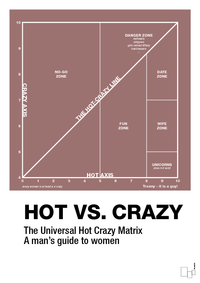 plakat: hot crazy matrix