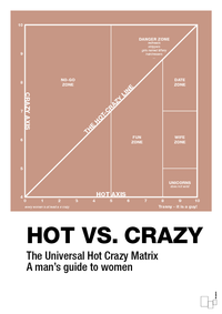 plakat: hot crazy matrix