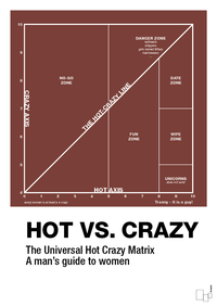 plakat: hot crazy matrix