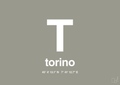 plakat: byplakat torino med koordinater - battleship gray-Byer-A1two3