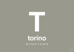 plakat: byplakat torino med koordinater - battleship gray-Byer-A1two3