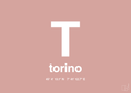 plakat: byplakat torino med koordinater - bubble shell-Byer-A1two3