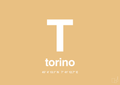 plakat: byplakat torino med koordinater - charismatic-Byer-A1two3